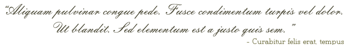 “Aliquam pulvinar congue pede. Fusce condimentum turpis vel dolor. Ut blandit. Sed elementum est a justo quis sem.” - Curabitur felis erat, tempus